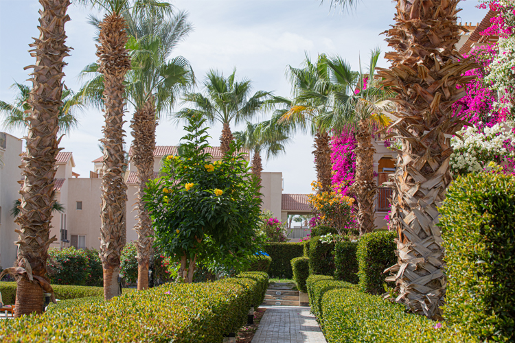 Studio with pool view in Veranda - 0